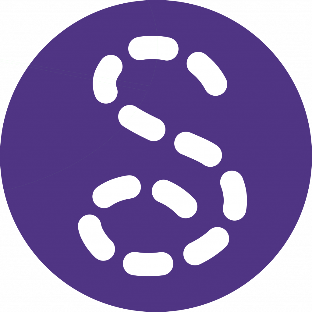 Seamly2D app logo, purple circle with white "S" for 2D pattern creation in clothing design.
