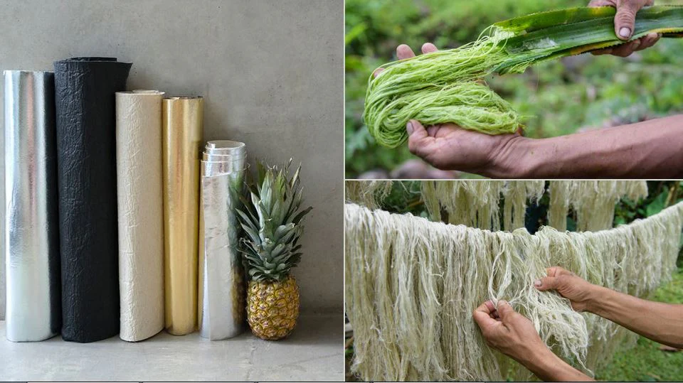 Pineapple leaf fibers processed into sustainable leather