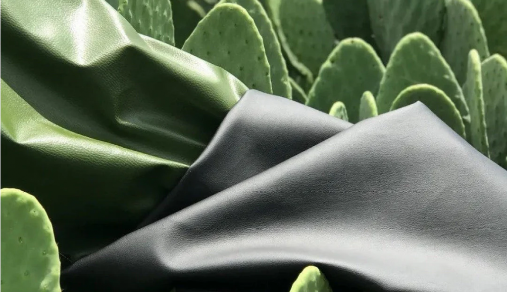 Vegan cactus leather with green cactus plant